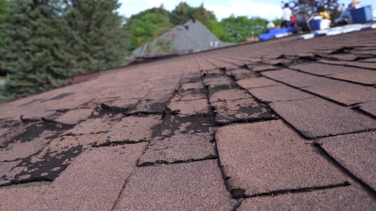 Best Asphalt Shingles Roofing  in Choctaw Lake, OH