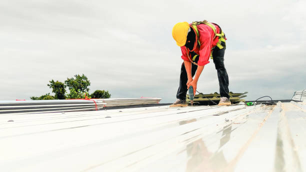 Best Skylight Installation and Repair  in Choctaw Lake, OH