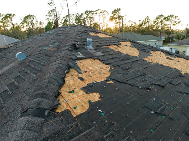 Best Roof Moss and Algae Removal  in Choctaw Lake, OH