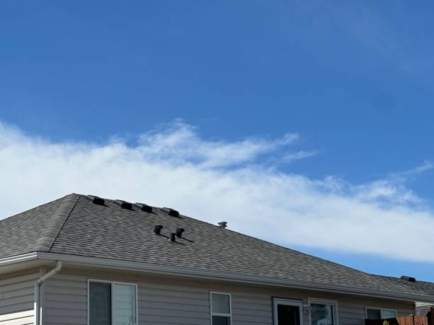 Best Roof Coating and Sealing  in Choctaw Lake, OH